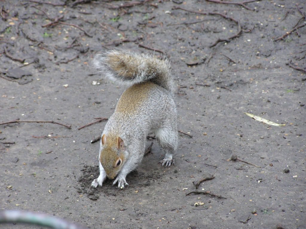 St. James's Park