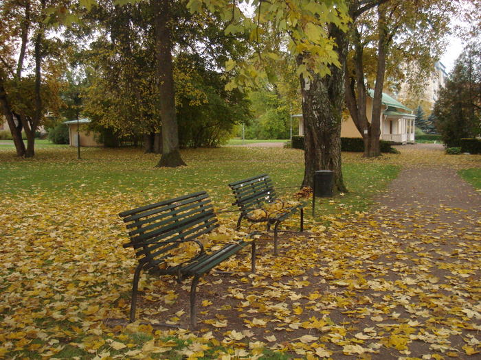 Stocholm