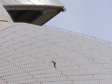 Sydney Opera House
