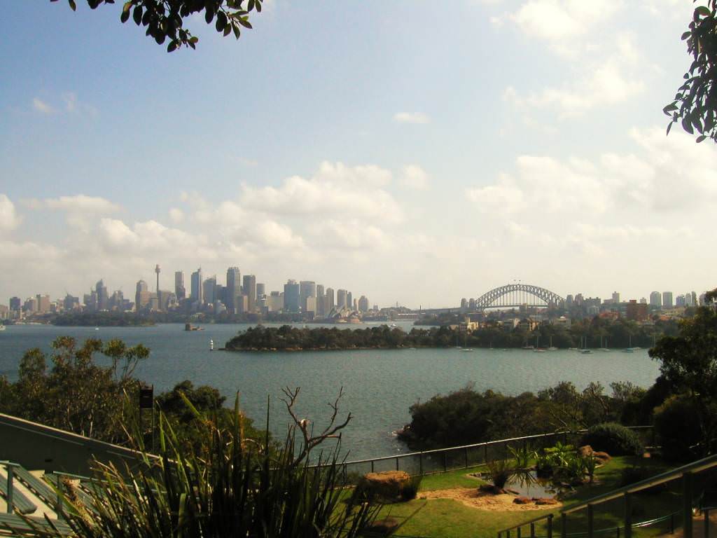 Sydney view from Taronga zoo