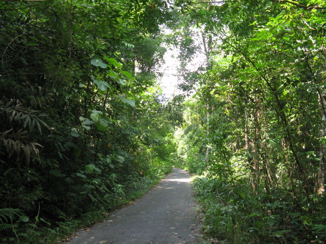 Tαιλανδη Koh chang
