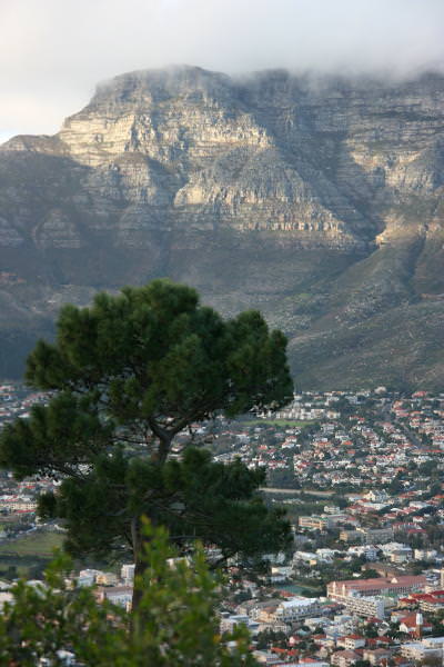 table_mountain2