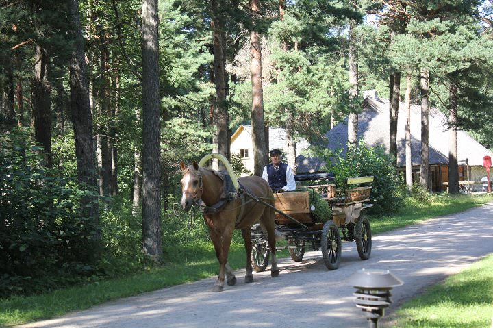 Tallinn