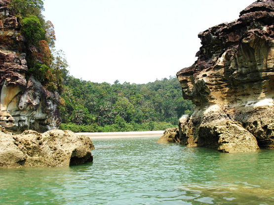 Telok Pandan, εθνικό πάρκο Μπάκο, Sarawak Borneo