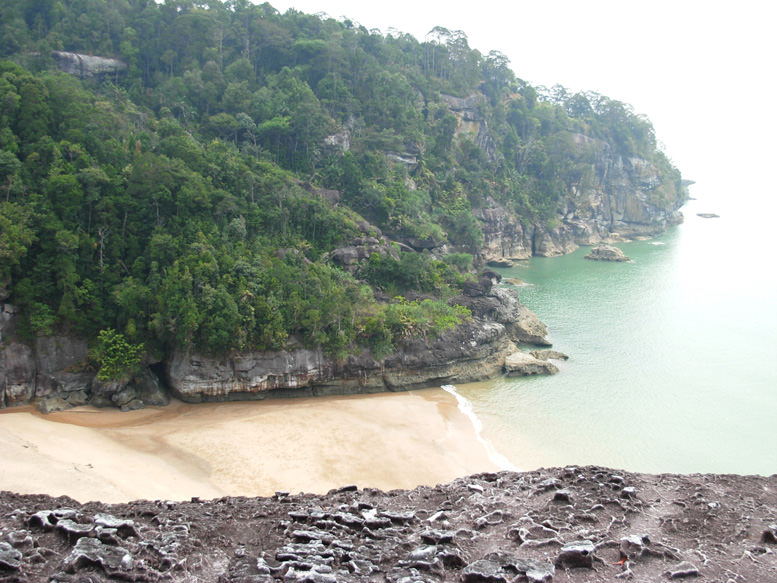 Telok Pandan, εθνικό πάρκο Μπάκο, Sarawak Borneo