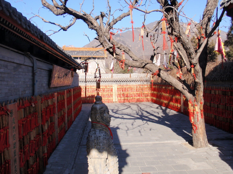 THE GREAT WALL OF CHINA5