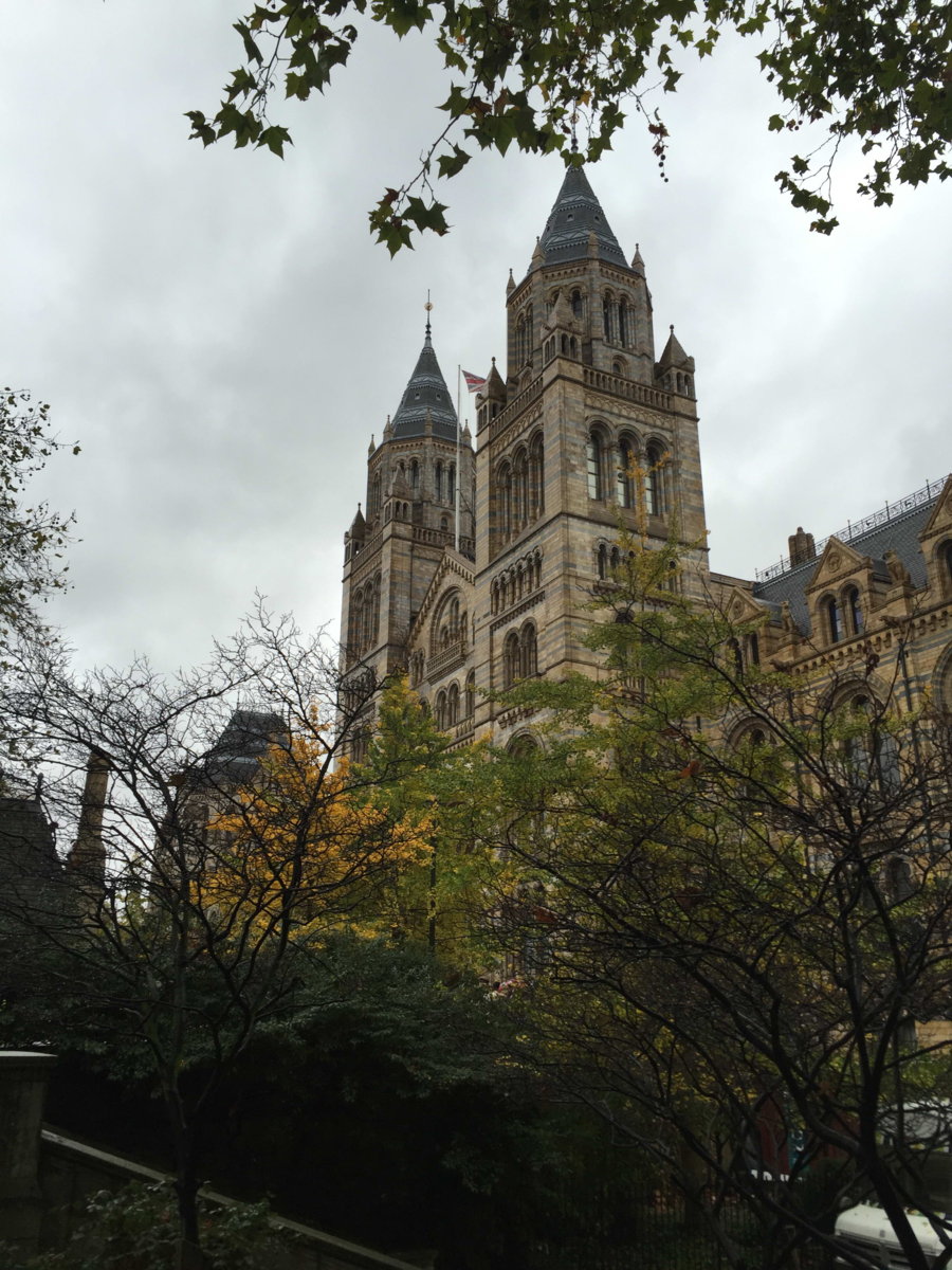 The Natural History Museum