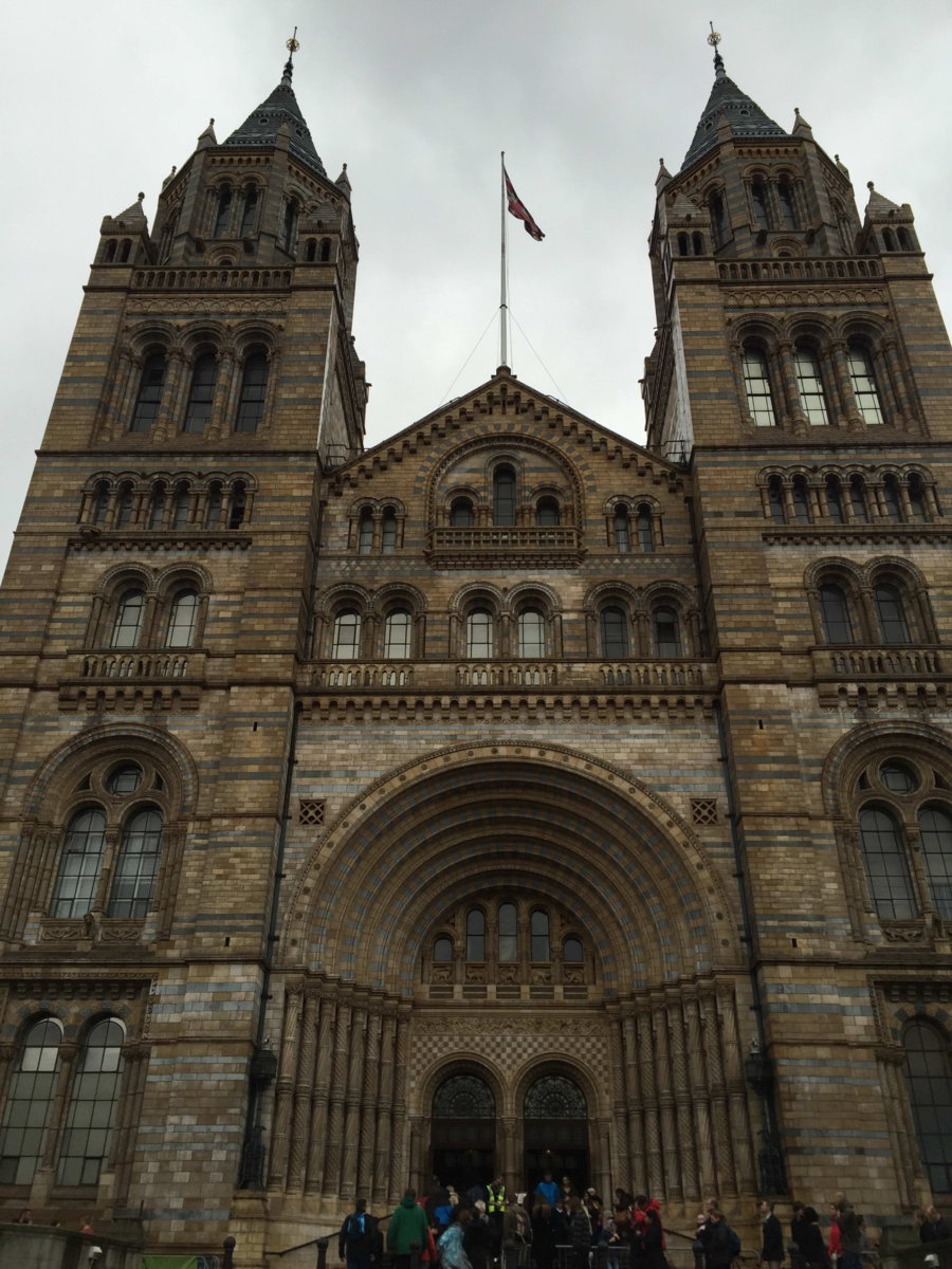 The Natural History Museum