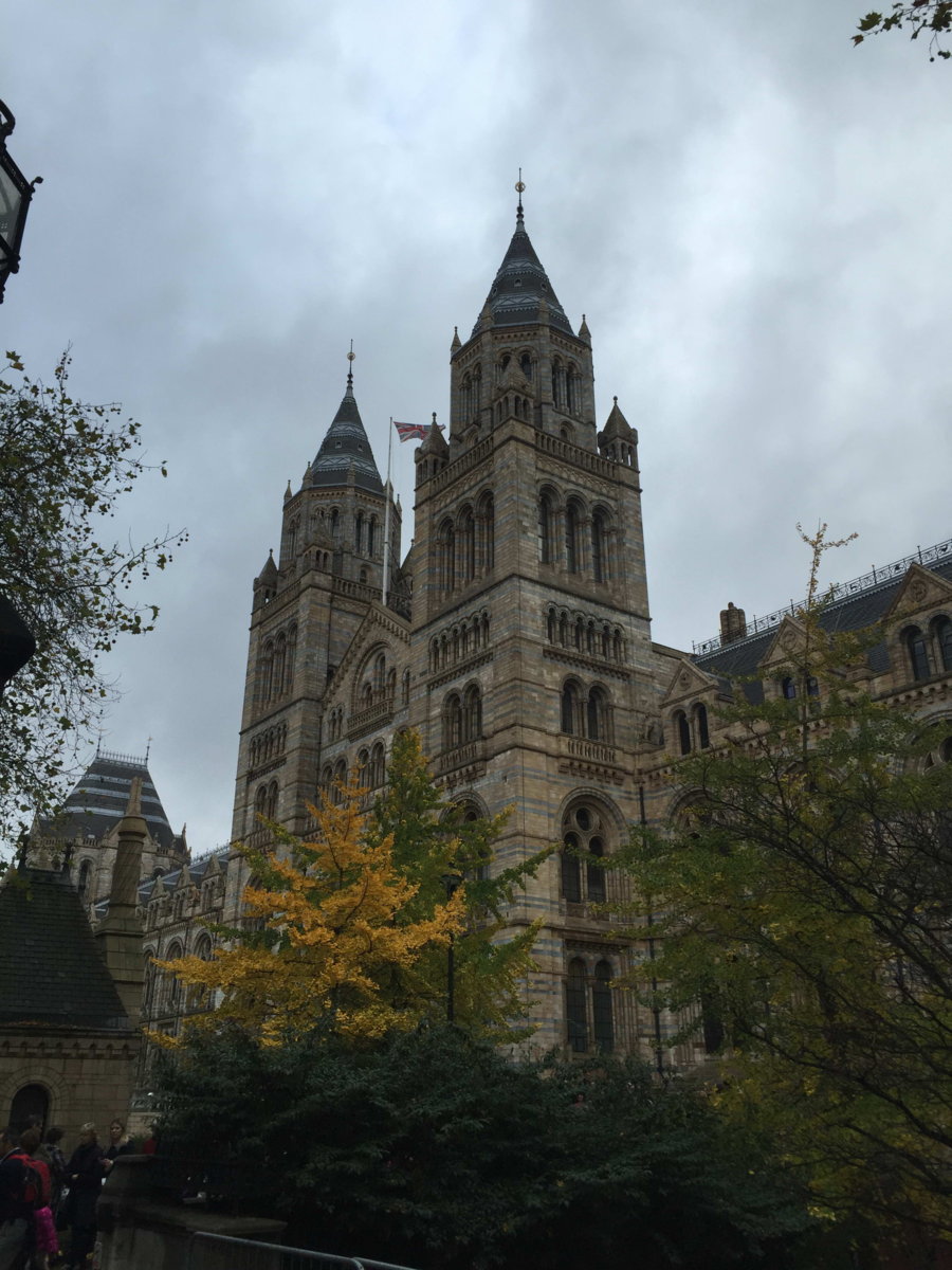 The Natural History Museum