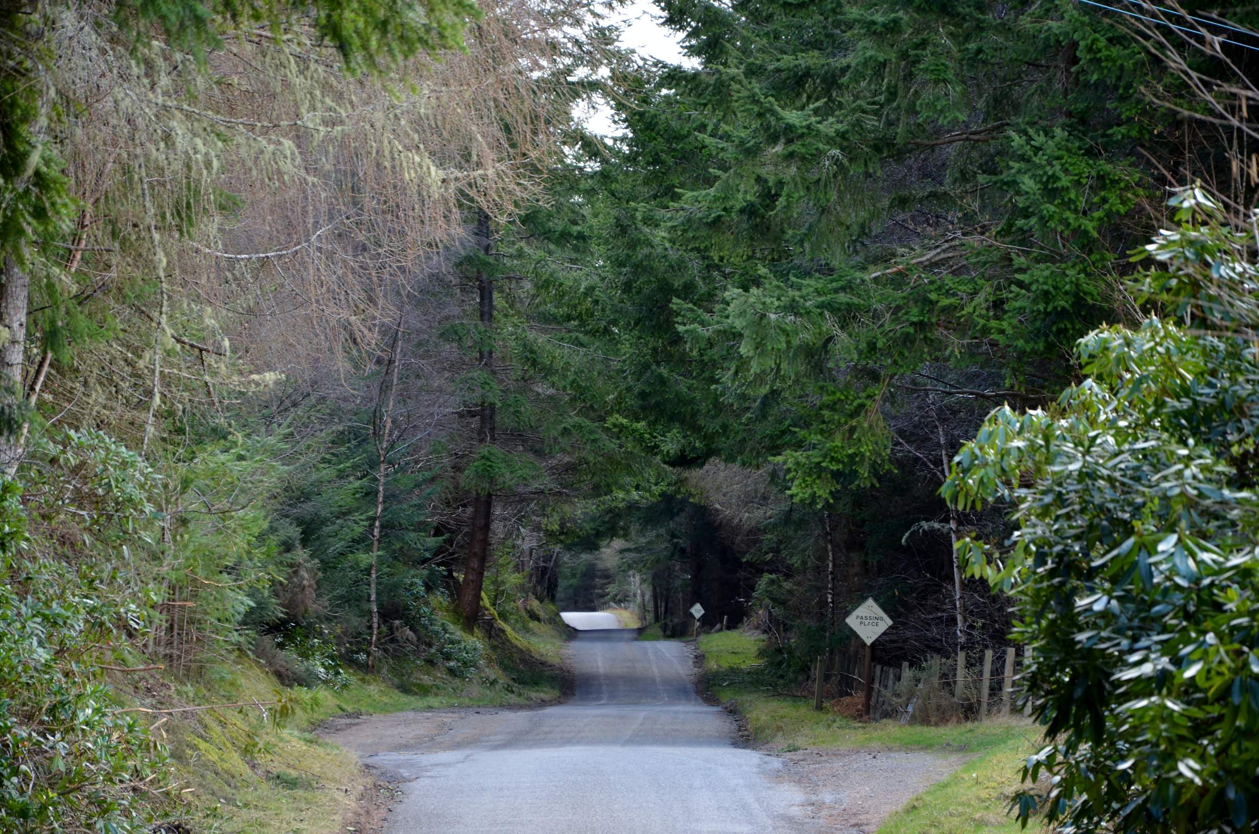 THE ROAD TO LOCH NESS