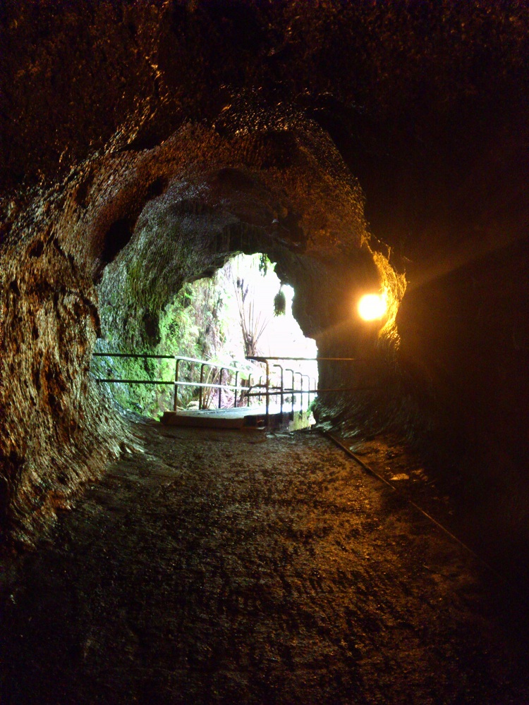 Thurston Lava Tube 2