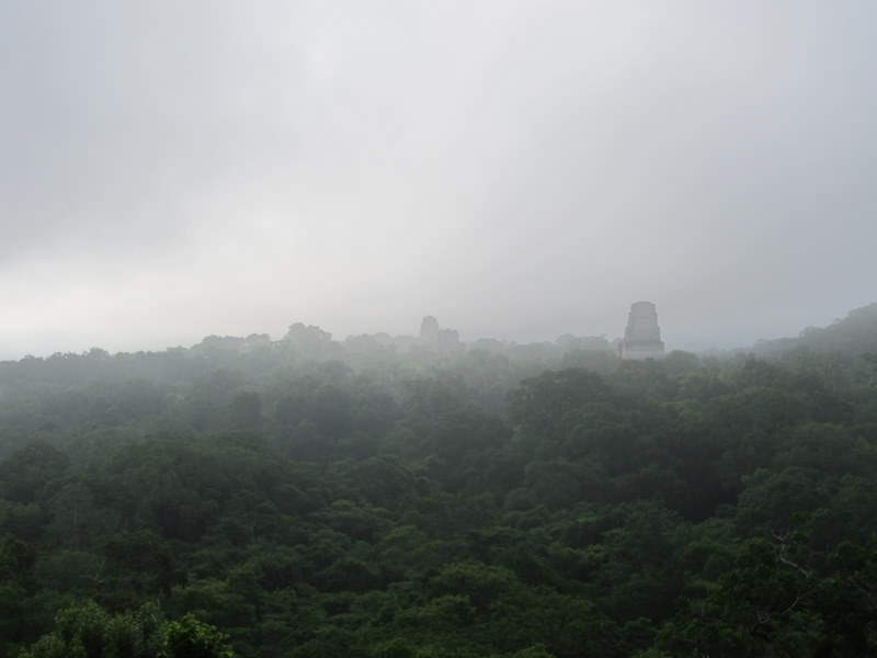 Tikal