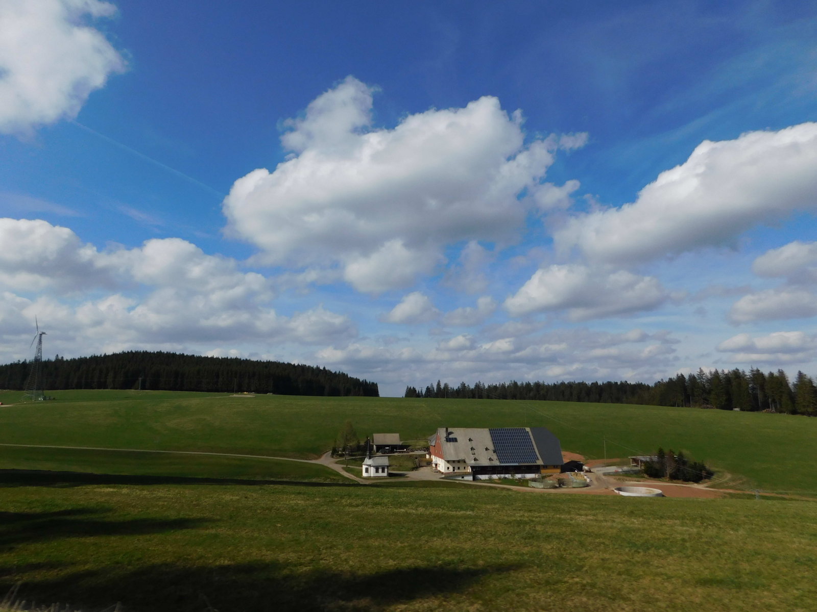 Titisee