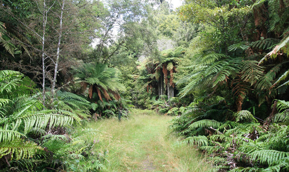 Trekking στη Rotorua