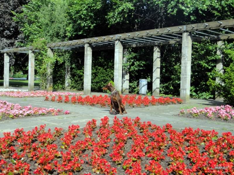 Treptower park