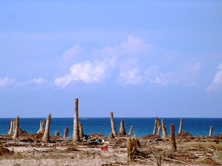 TSUNAMI_INDONESIA_151