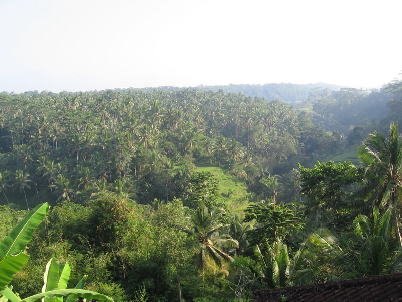 Ubud, Bali