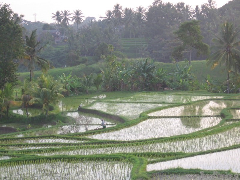 Ubud, Bali