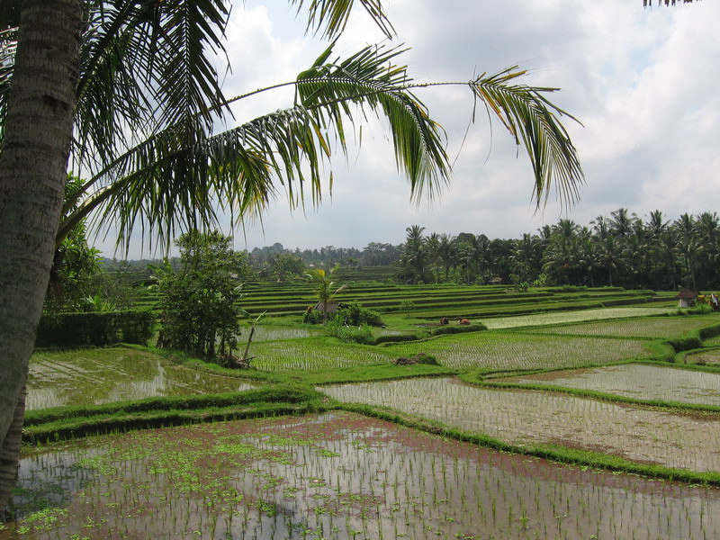 Ubud