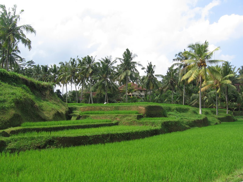 Ubud