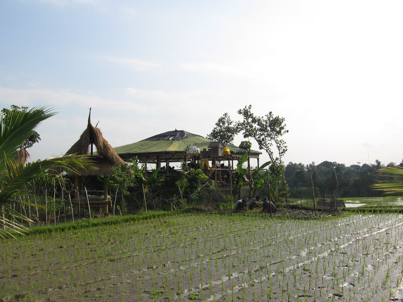 Ubud