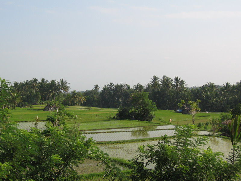 Ubud