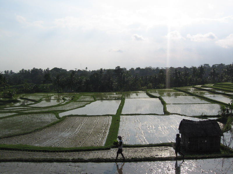 Ubud