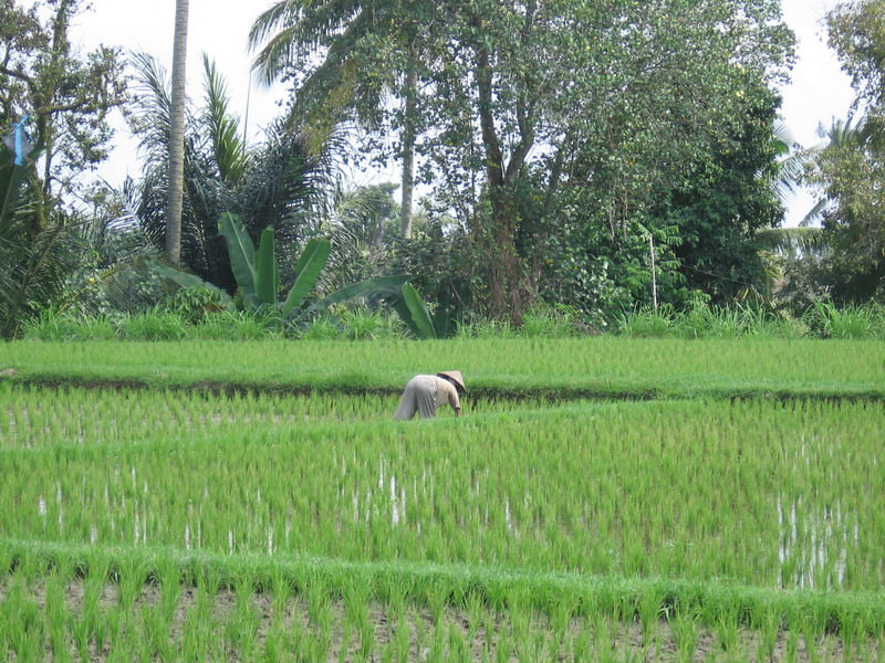 Ubud