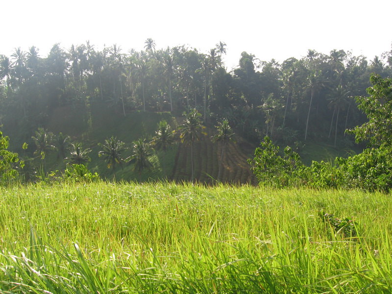 Ubud