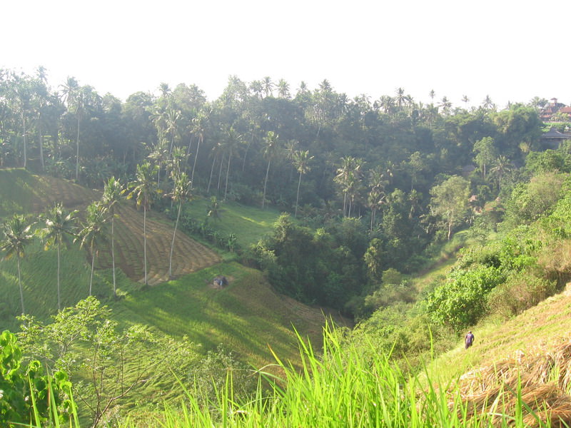 Ubud