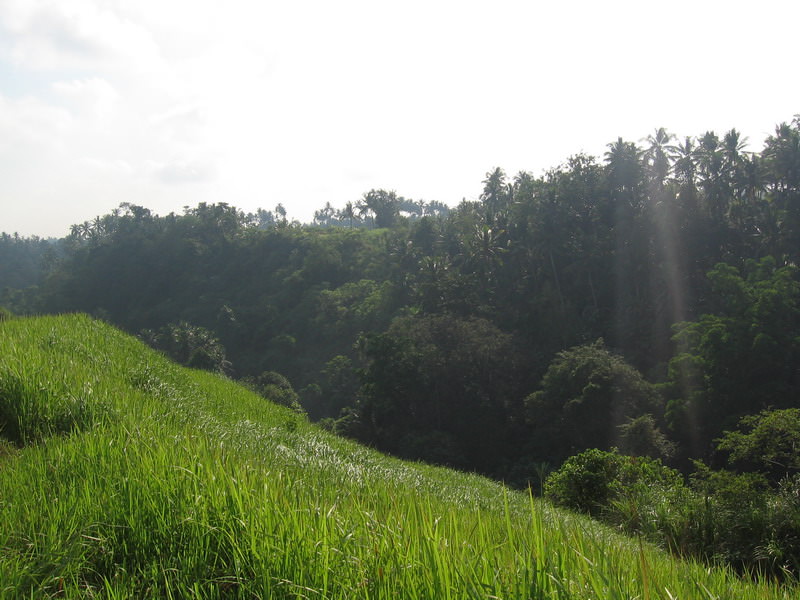 Ubud