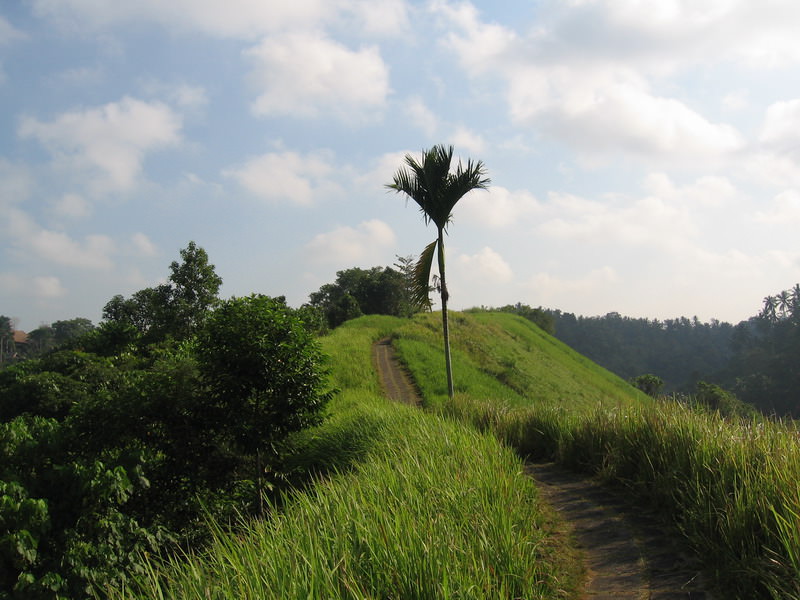 Ubud