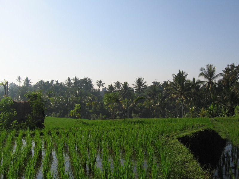 Ubud