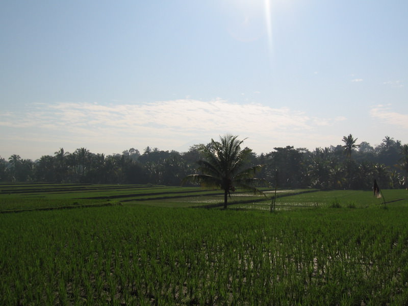 Ubud