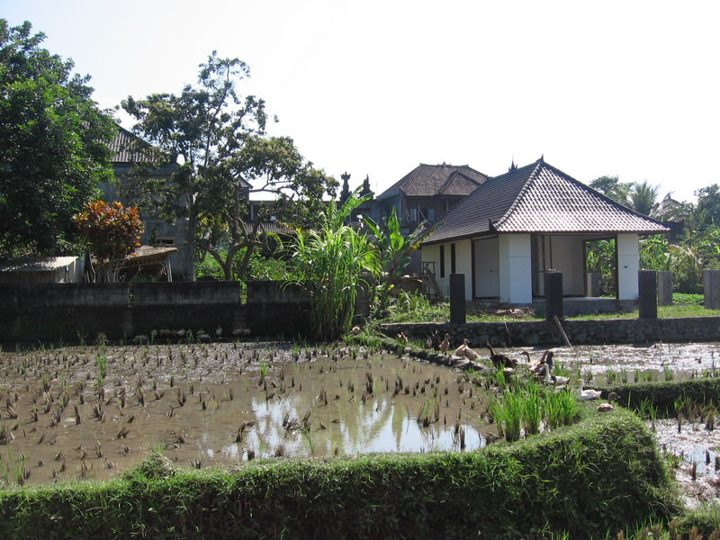 Ubud