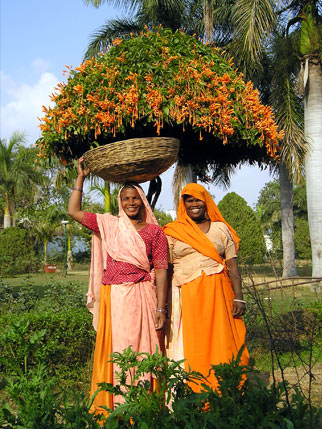 Udaipur - India