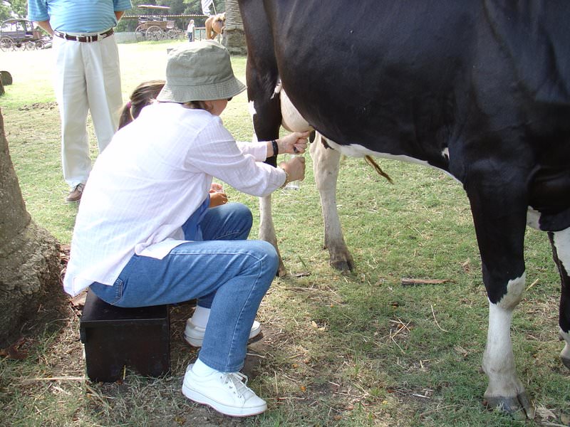 Uruguay, Montevideo - 29 ΦΕΒΡΟΥΑΡIΟΥ 2004