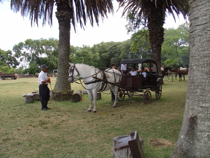 Uruguay, Montevideo - 29 ΦΕΒΡΟΥΑΡIΟΥ 2004