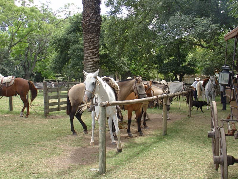 Uruguay, Montevideo - 29 ΦΕΒΡΟΥΑΡIΟΥ 2004