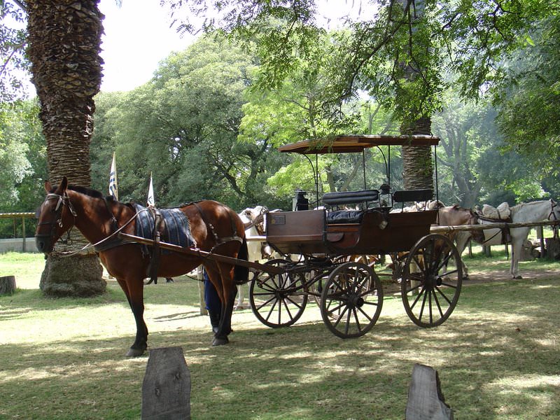 Uruguay, Montevideo - 29 ΦΕΒΡΟΥΑΡIΟΥ 2004