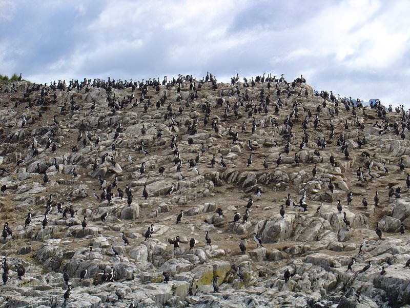 Ushuaia, Argentina