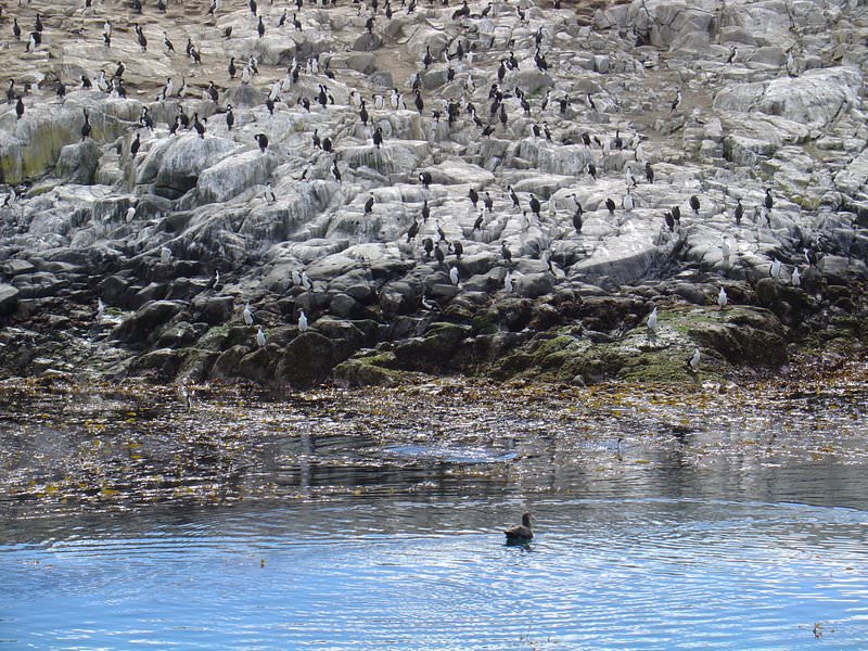 Ushuaia, Argentina