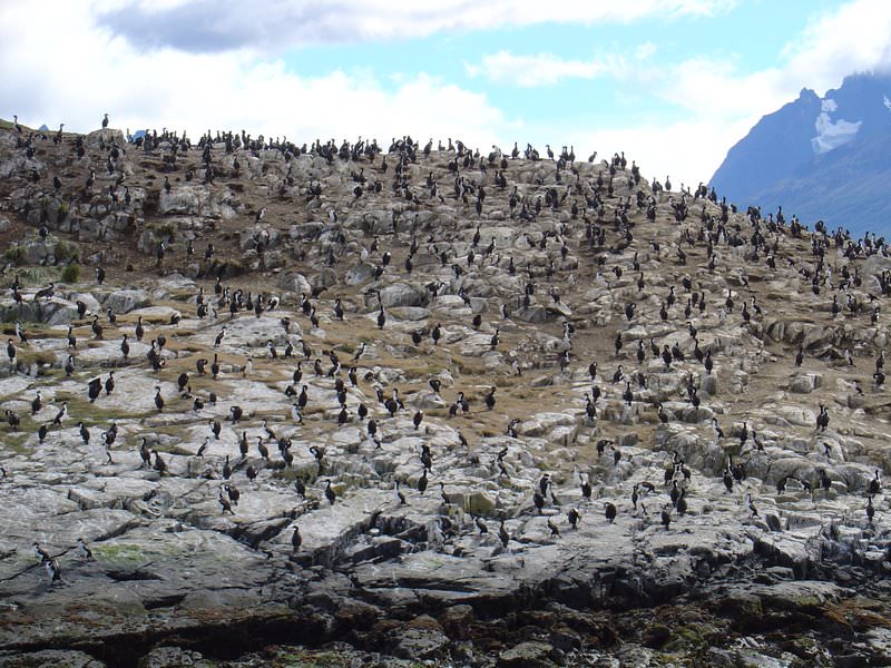 Ushuaia, Argentina