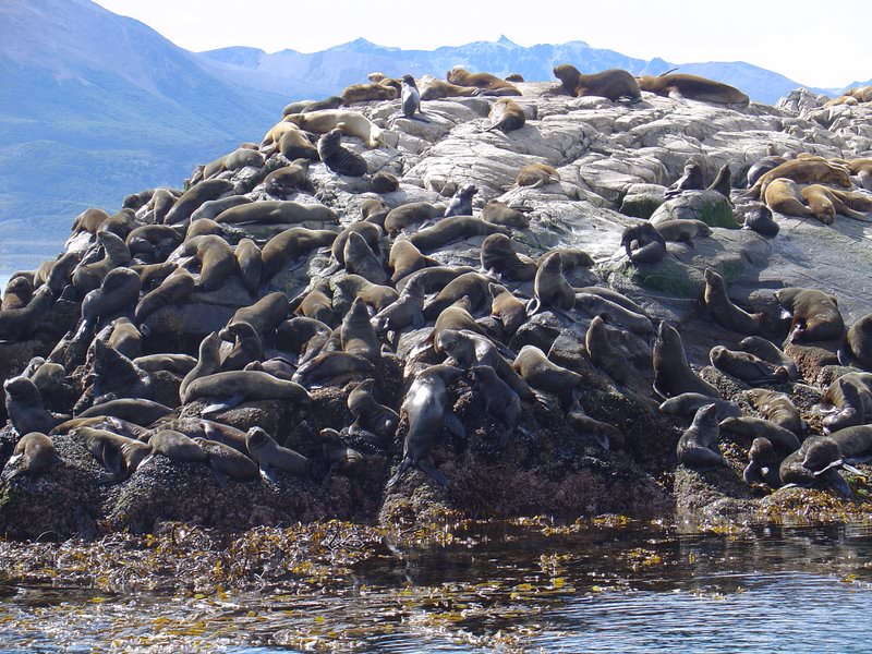 Ushuaia, Argentina