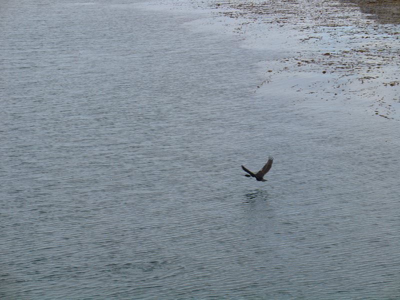 Ushuaia, Argentina