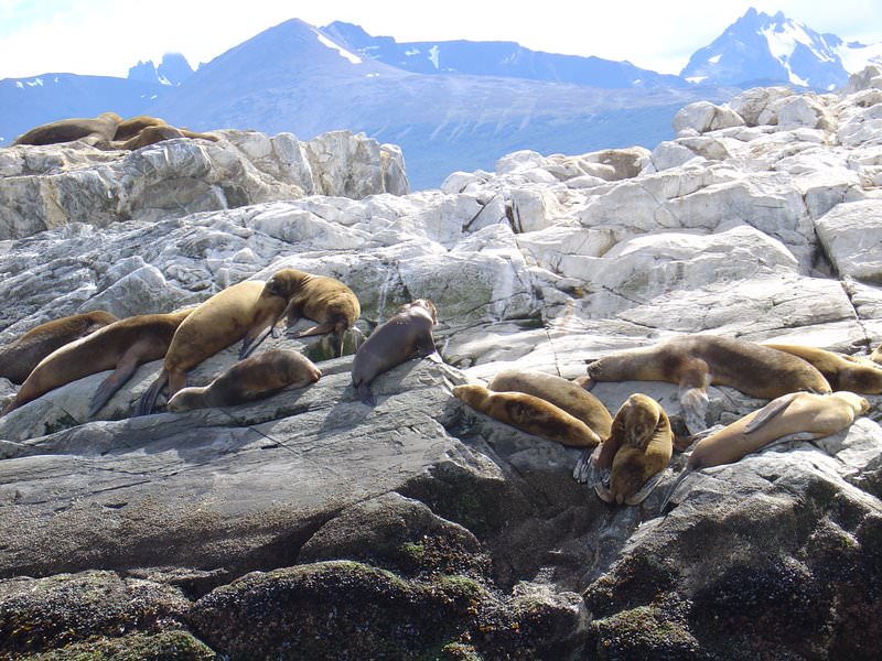 Ushuaia, Argentina