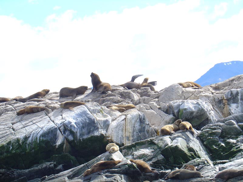 Ushuaia, Argentina