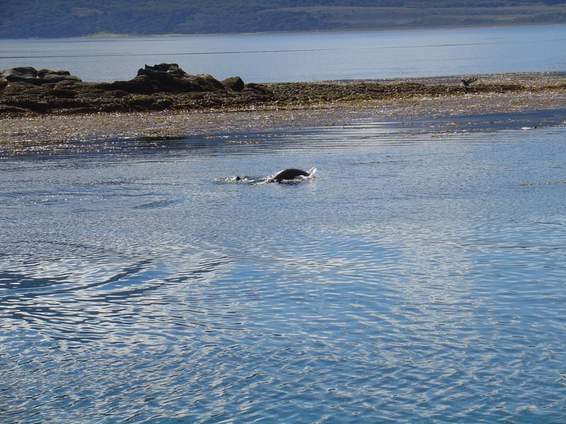 Ushuaia, Argentina