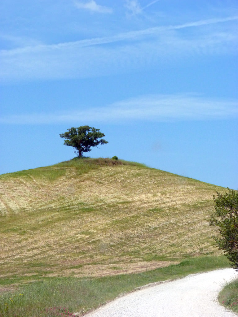 Val d'Orcia