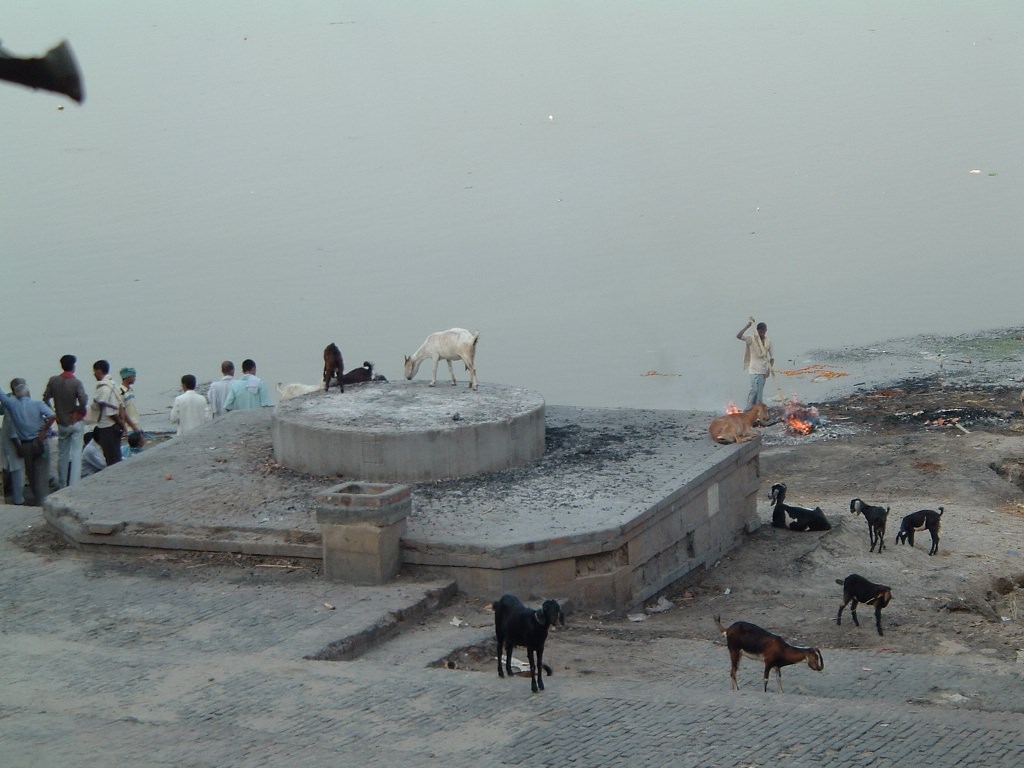 Varanasi. Η κάυση των νεκρών δίπλα στον ιερό ποταμό Γάγγη. (Οι φωτογραφίες